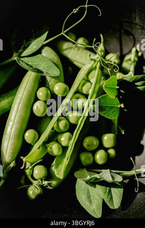 Piselli verdi freschi in baccelli e fagioli su sfondo nero Foto Stock