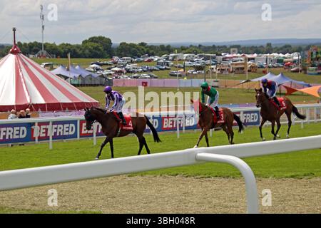 Epsom Downs, Surrey, Inghilterra, Regno Unito. 6 giugno 2025. Corse ippiche Ladies Day a Epsom Downs, Surrey. Cavalli nella Coronation Cup che si dirigono verso la partenza. Il vincitore è stato Jan Brueghel al sesto posto, guidato da Ryan Moore in blu e viola. Prima della gara, il favorito numero 3 Calandagan in verde finì secondo. Crediti: Julia Gavin/Alamy Live News Foto Stock