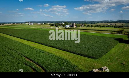 Vasti campi di colture verdi si estendono attraverso il paesaggio, punteggiati da edifici agricoli e linee di alberi. Un cielo blu luminoso con soffici nuvole esalta l'ambiente rurale tranquillo. Foto Stock