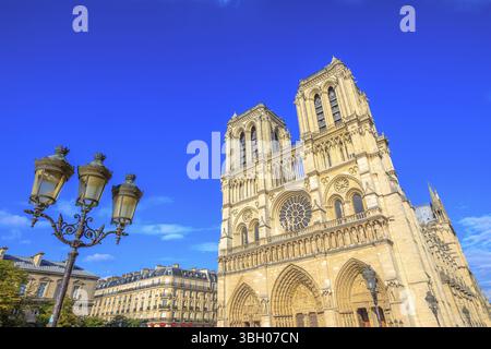 Tipica lampada da strada in ferro con Notre Dame de Paris sullo sfondo, famoso monumento e cattedrale della capitale francese. Architettura gotica francese Foto Stock