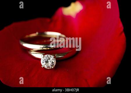 Il regalo perfetto per San Valentino, un anello di fidanzamento su una rosa rossa Foto Stock
