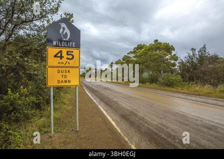 Segnale di avvertimento limite di velocità 45 km-h per l'attraversamento dei pinguini dal crepuscolo all'alba, nella riserva di caccia Bruny Island Neck, Tasmania, Australia, Oceania Foto Stock