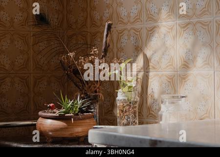 Natura morta con piante e fiori secchi Foto Stock