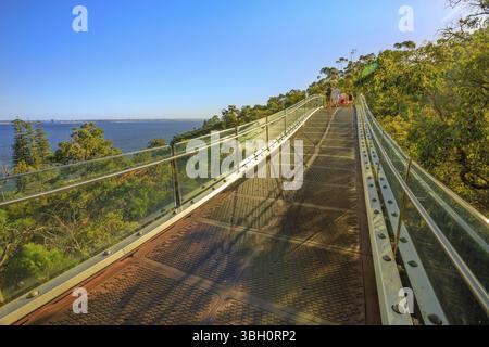 Ponte di vetro nel Kings Park e giardino botanico affacciato sul sobborgo di South Perth sul fiume Swan, Australia Occidentale. Giorno di sole, cielo azzurro con fotocopiatrice Foto Stock
