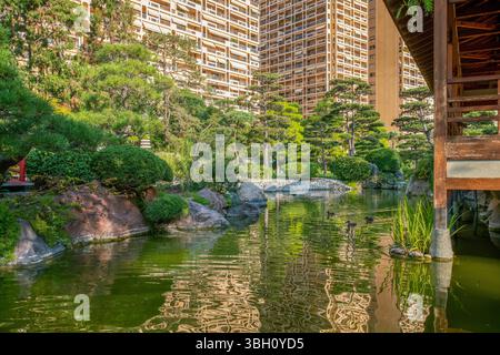 Stupenda vista sul giardino giapponese di Monaco: Laghetto, bordo del padiglione e piante d'acqua e rocce nell'acqua e nelle anatre. Carpe KOI in acqua e costruzione residenziale Foto Stock