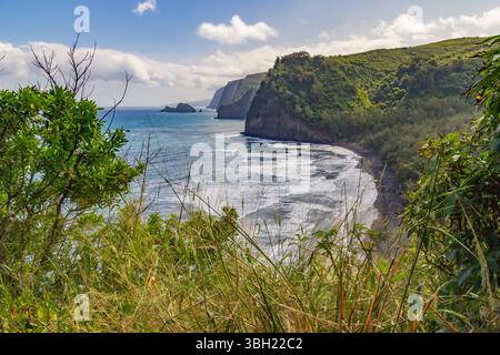 Un punto panoramico che guarda attraverso lussureggianti arbusti in primo piano con le onde che si infrangono lungo la sabbia nera e la spiaggia rocciosa Foto Stock