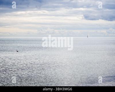 La vasta distesa soleggiata dell'oceano aperto con minuscola anatra in lontananza e la barca a vela all'orizzonte Foto Stock