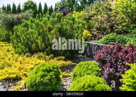 Un giardino splendidamente organizzato caratterizzato da vegetazione lussureggiante, arbusti a strati e fogliame vibrante sotto il cielo limpido, che mette in risalto i colori armoniosi della natura. Foto Stock