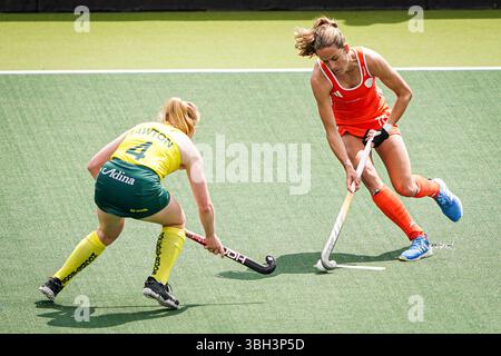 Amsterdam, Paesi Bassi. 7 giugno 2025. AMSTERDAM, PAESI BASSI - 7 GIUGNO: Felice Albers dei Paesi Bassi combatte per il possesso con Amy Lawton dell'Australia durante la partita FIH Hockey Pro League 2025 tra Paesi Bassi e Australia al Wagener Stadion il 7 giugno 2025 ad Amsterdam, Paesi Bassi. (Foto di Andre Weening/Orange Pictures) credito: Orange Pics BV/Alamy Live News Foto Stock
