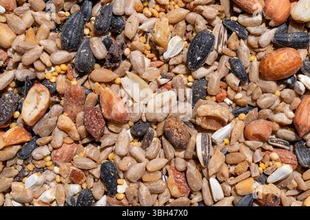 Vista ravvicinata del cibo degli uccelli selvatici con noci e uvetta. Foto Stock