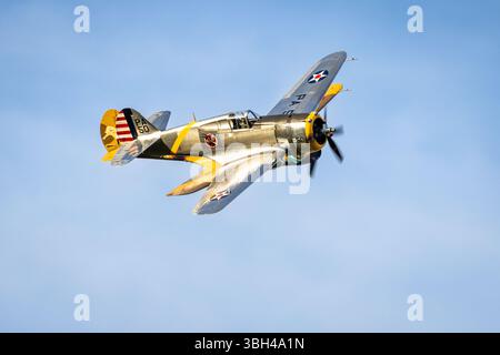 1939 Curtiss P-36 Hawk & 1941 Curtiss P-40F Warhawk, trasportato in volo al Military Air Show tenutosi a Shuttleworth il 31 maggio 2025. Foto Stock