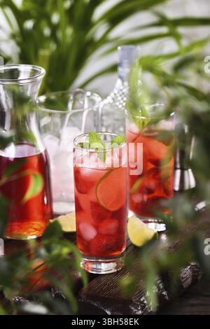 Fragole fresche unite a succo fresco e tequila. Questo cocktail mojito è ricco di vivaci aromi di lime, bacche e menta. Godetevi il vostro drink Foto Stock