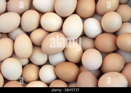 Un sacco di impilati in modo casuale le uova di gallina Foto Stock