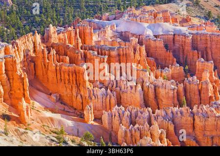 Bryce Canyon Bryce Canyon National Park, Utah, Stati Uniti d'America Foto Stock