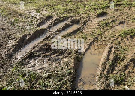 Strada sporca con fango, erba e sentieri tra campi e campi in autunno Foto Stock