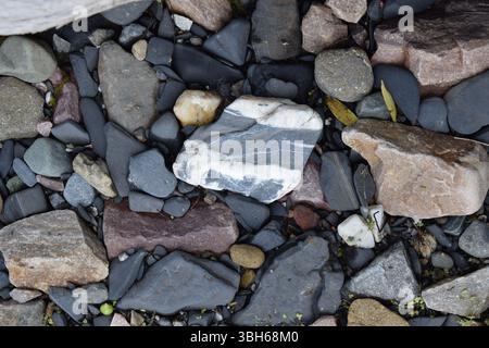 Ciottoli lisci sparsi lungo il fiume, brillando di umidità sotto la luce naturale. Varie forme e colori delle pietre Foto Stock