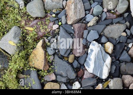 Ciottoli lisci sparsi lungo il fiume, brillando di umidità sotto la luce naturale. Varie forme e colori delle pietre Foto Stock