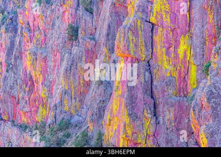 Parete multicolore del canyon, Coconino National Forest, Arizona, USA, Nord America Foto Stock
