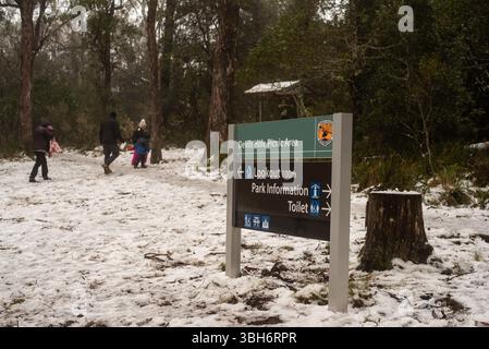 Bush australiano coperto di neve Foto Stock