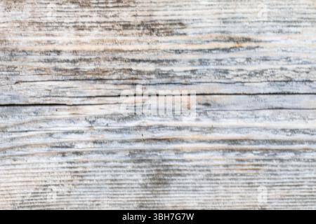 Sfondo in legno. L'immagine mostra uno sfondo fatto di una vecchia tavola di legno incrinata, che sembra molto espressivo e autentico. Foto Stock