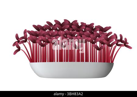 Microgreen amaranto rosso appena coltivati che prosperano in una semplice ciotola bianca, che mostra colori vivaci e una crescita robusta, perfetti per migliorare la salute mea Illustrazione Vettoriale
