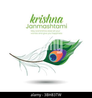 Splendida illustrazione con piume di pavone Illustrazione Vettoriale