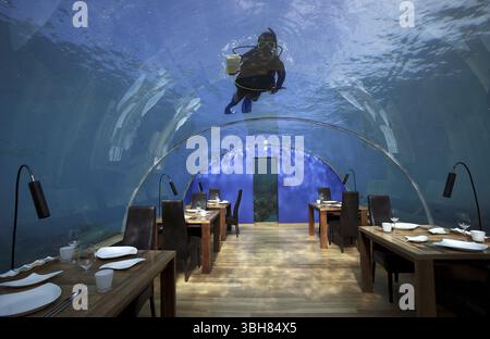 ISOLE MALDIVE. ATOLLO DI ARI. HOTEL RANGALI CONRAD (HILTON). RISTORANTE SOTTOMARINO DELL'HOTEL Foto Stock