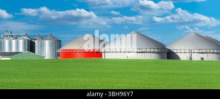 Impianto di biogas agricolo dietro un campo di grano in primavera Foto Stock