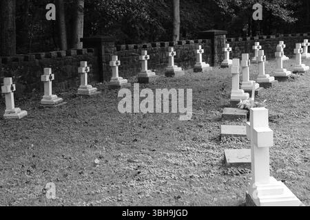 Cullman Alabama USA 17 agosto 2023 editoriale Ave Maria Grotto località turistica Foto Stock