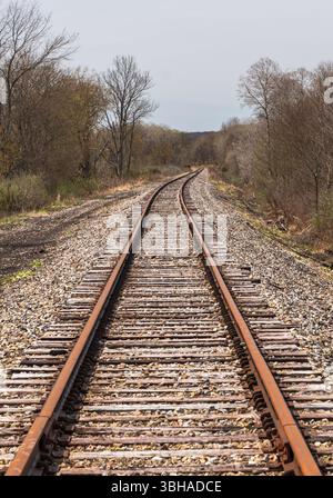 I treni rurali attraversano i boschi di Columbus, Pennsylvania, Stati Uniti, in una giornata di sole primaverili Foto Stock