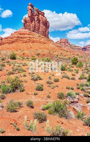 Valle degli dei, Utah, Stati Uniti, Foto Stock