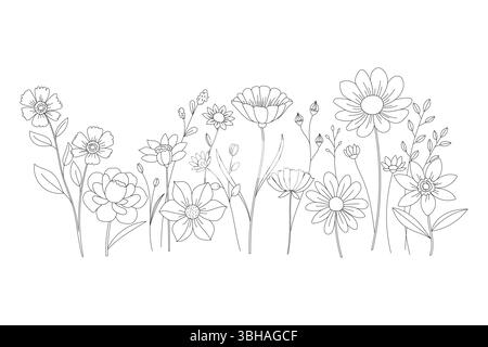Elegante illustrazione con fiori selvatici che mostra delicata arte in linea in una disposizione botanica su bianco Illustrazione Vettoriale