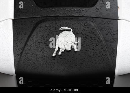 Novi Sad, Serbia - 21 maggio 2025: Logo Lamborghini Tractor alla 92a fiera agricola. La Lamborghini trattori è un'azienda italiana produttrice di macchine agricole Foto Stock