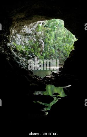 Guarda fuori da una grotta che si apre in Belize, dove scorre un fiume attraverso la grotta. Foto Stock