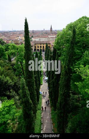 Verona, Italia - 3 maggio 2025: Giardino giusti con alti cipressi Foto Stock
