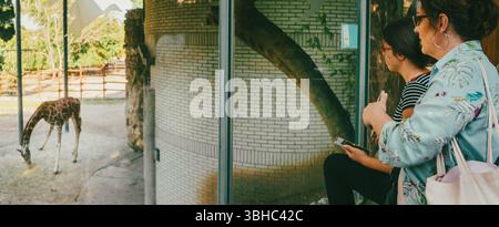 Madre e figlia nello zoo a guardare una giraffa mangiare. Foto Stock