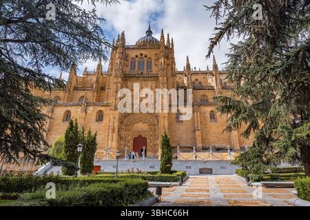 Facciata della Cattedrale Vecchia di Salamanca in Spagna Foto Stock