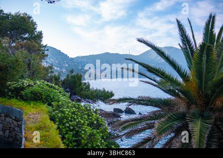 Panorama di una spiaggia di mare roccioso, montagne all'orizzonte, cielo nuvoloso, palme e vegetazione lussureggiante in primo piano. Rocce e scogliere sono visibili Foto Stock
