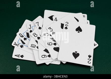 Fan di carte da gioco con tuta a vanga completa su superficie verde. Casinò e poker. Foto Stock