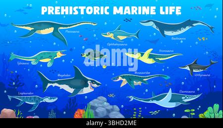 Dinosauri subacquei preistorici personaggi infografiche con specie di rettili acquatici, poster del museo vettoriale. Dinosauri marini preistorici e rettili sottomarini oceanici con nomi per infografiche sui dinosauri Illustrazione Vettoriale