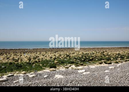 Paesaggio costiero roccioso con bassa marea con pietre coperte di alghe esposte, mare blu calmo e cielo limpido in una giornata di sole. Foto Stock