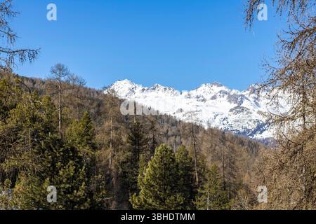 Picchi di montagna a Pontresina, Svizzera Foto Stock