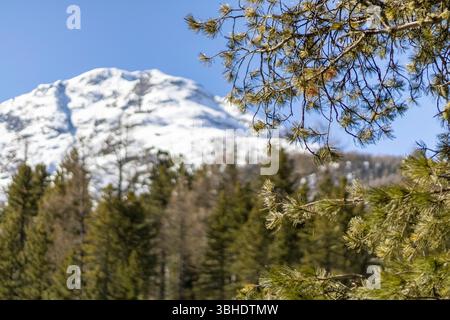 Picchi di montagna a Pontresina, Svizzera Foto Stock