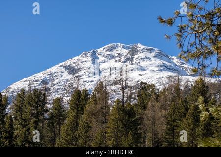 Picchi di montagna a Pontresina, Svizzera Foto Stock