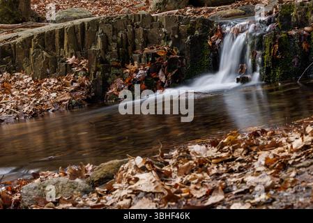 Una piccola cascata di foresta sfocia in un ruscello calmo e poco profondo circondato da foglie autunnali e terreno roccioso in un tranquillo paesaggio boschivo. Foto Stock