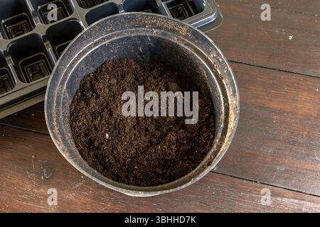Contenitori di plastica per piante di piantine molde, piante di trapianto, piccoli vasi di plastica con terreno, Foto Stock