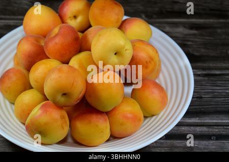 Albicocche, della specie P. armeniaca, le albicocche contengono vari fitochimici, come la provitamina A beta-carotene e i polifenoli, compreso il catec Foto Stock