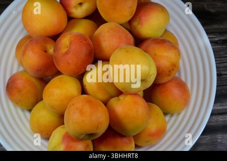 Albicocche, della specie P. armeniaca, le albicocche contengono vari fitochimici, come la provitamina A beta-carotene e i polifenoli, compreso il catec Foto Stock