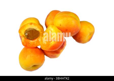 Albicocche, della specie P. armeniaca, le albicocche contengono vari fitochimici, come la provitamina A beta-carotene e i polifenoli, compreso il catec Foto Stock