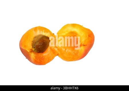 Albicocche, della specie P. armeniaca, le albicocche contengono vari fitochimici, come la provitamina A beta-carotene e i polifenoli, compreso il catec Foto Stock